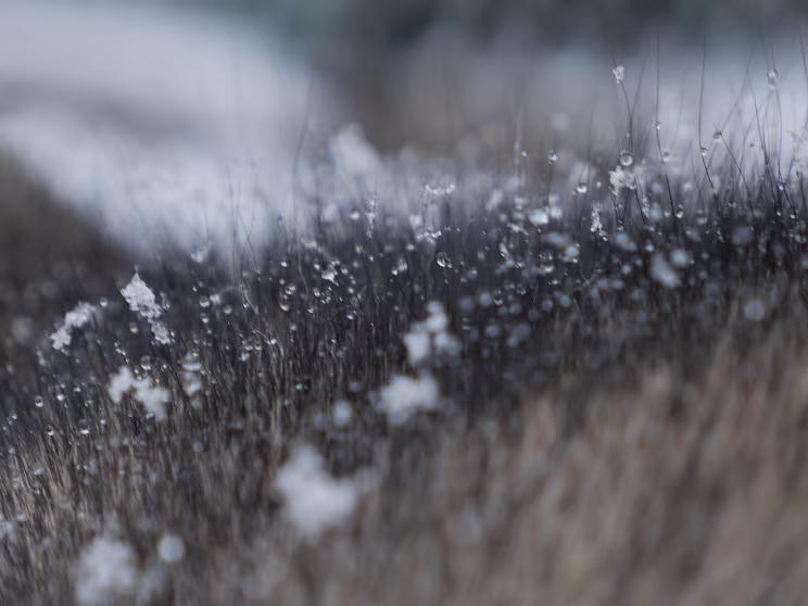 1. Schnee des Winters